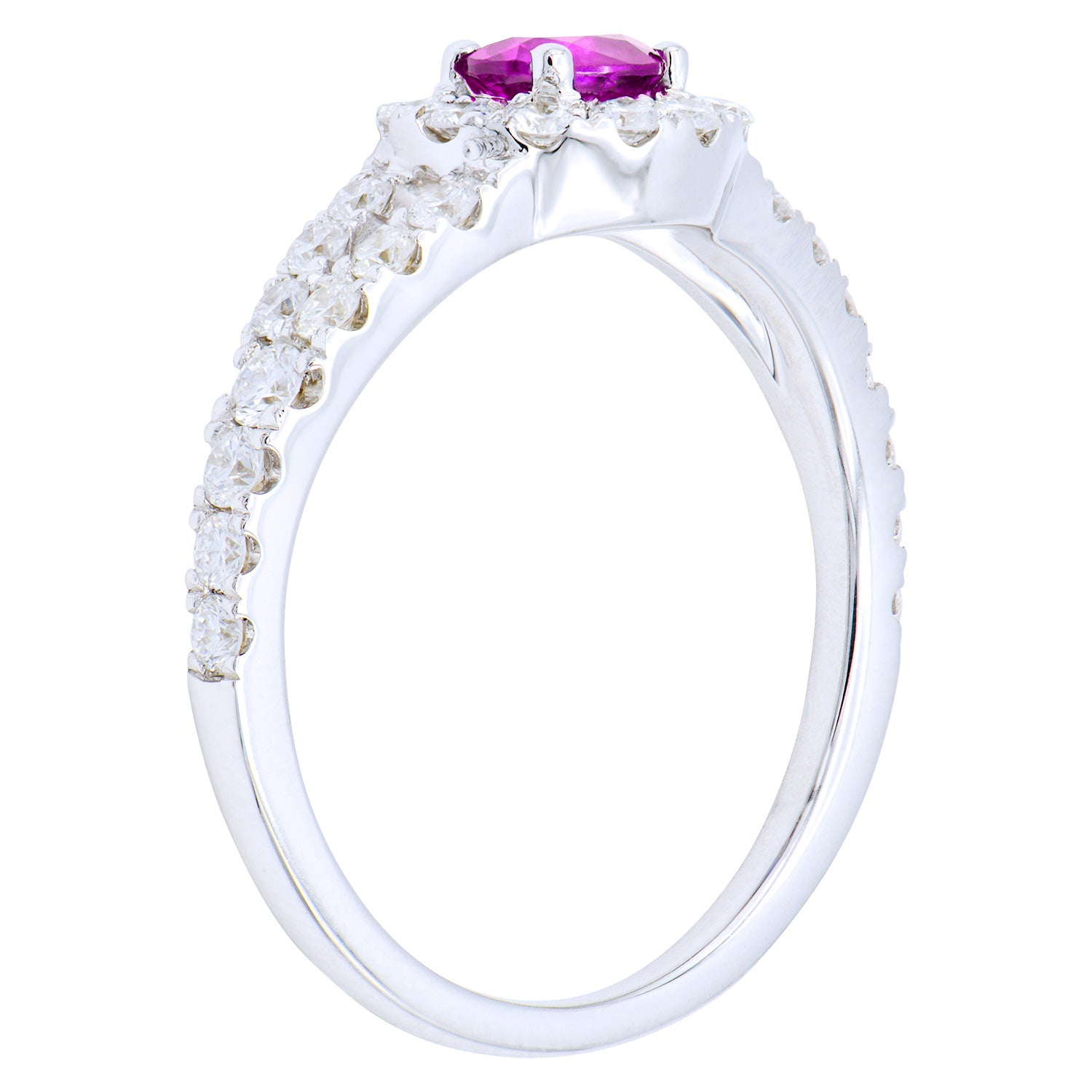 ASR154575-P - Ring 14KW/2.5G 31RD-0.58CT 1P.SAPP-0.41CT