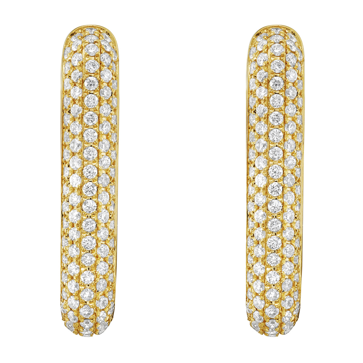 AE156208Y - Earrings 14KY/3.0G 226RD-0.65CT