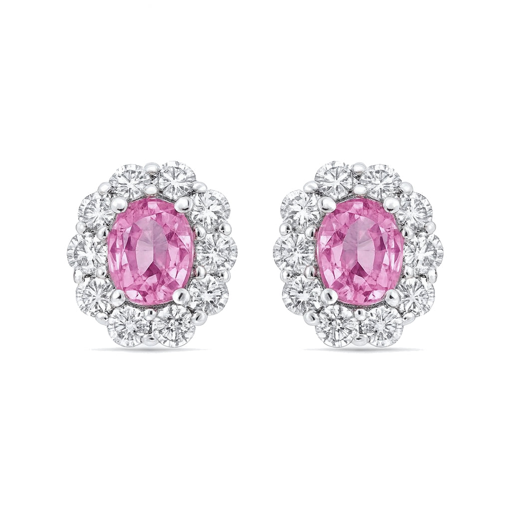 ASE155486P - Earrings 14KW/1.6G 2P.SAPP-0.81CT 20RD-0.65CT