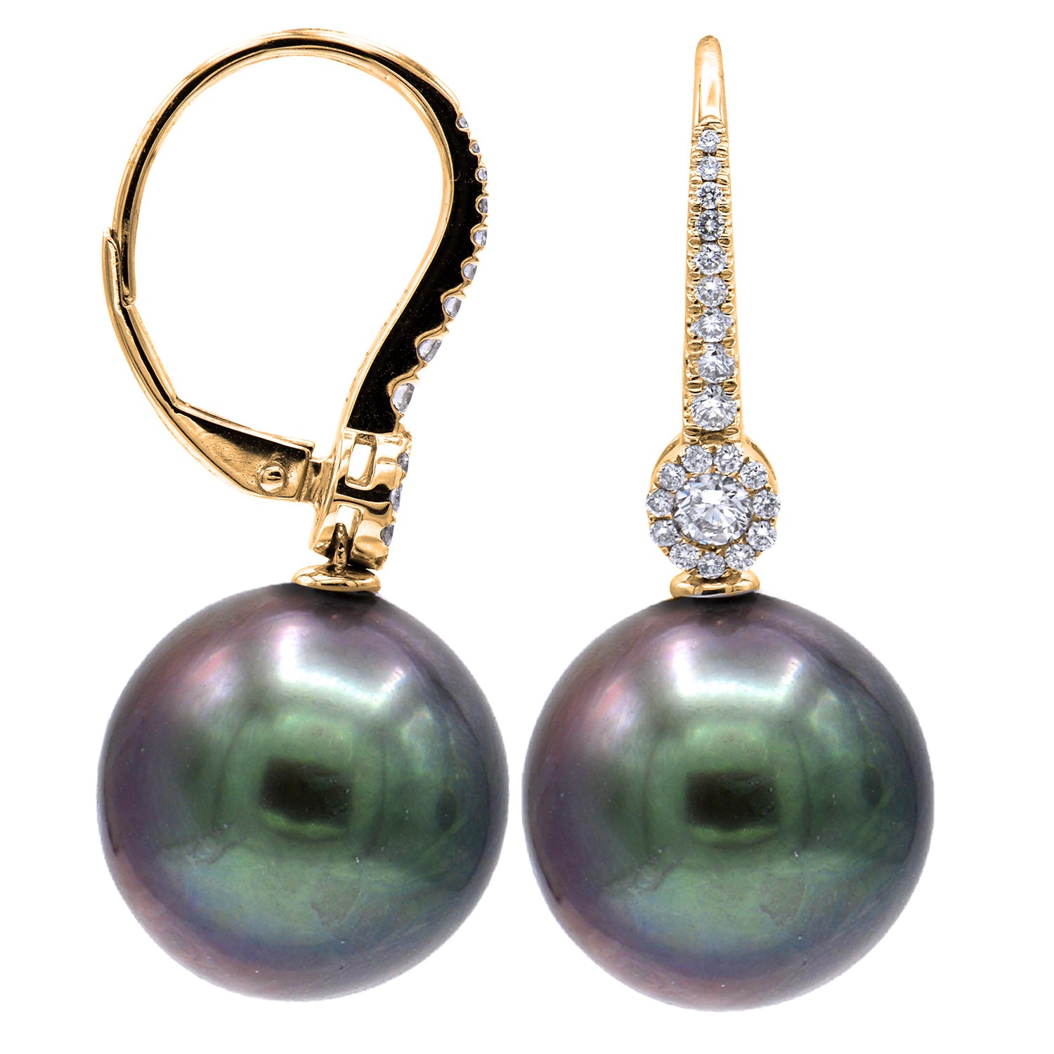 18K Yellow Gold Tahitian Pearl Earrings